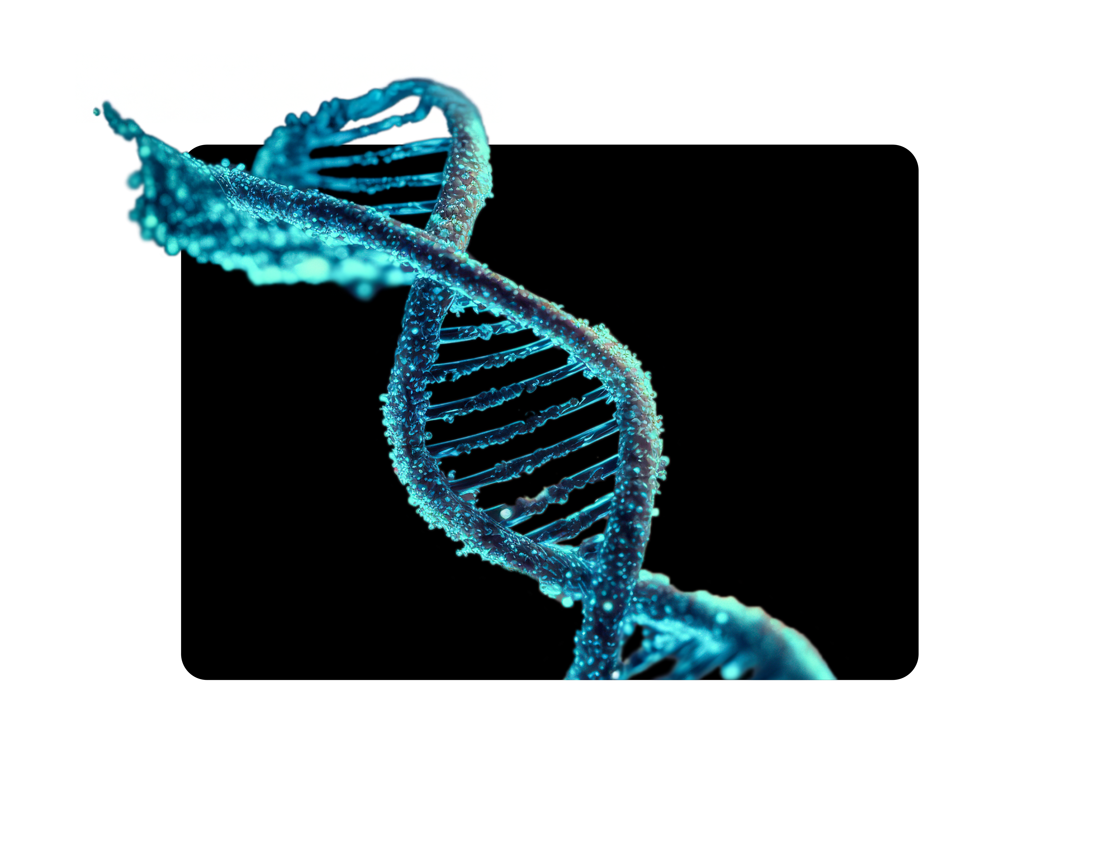 Iceberg Serious Nutrition