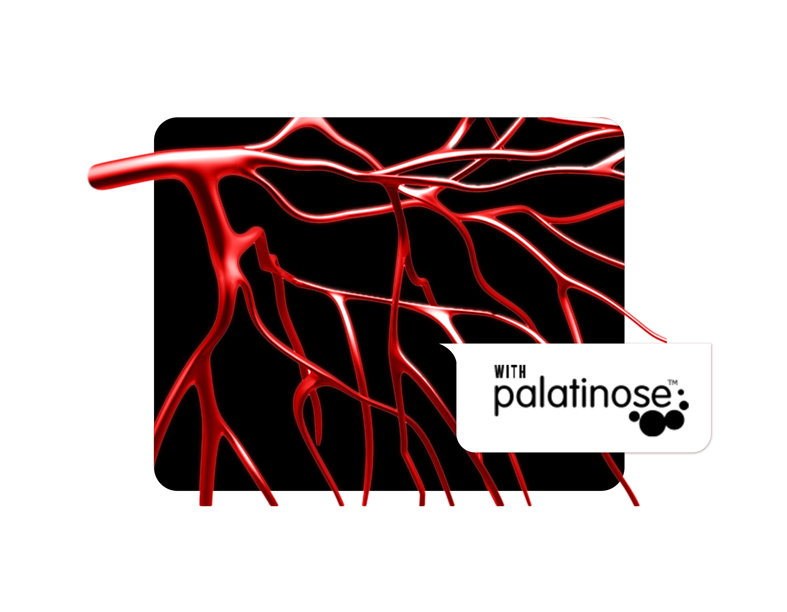 Iceberg Serious Nutrition